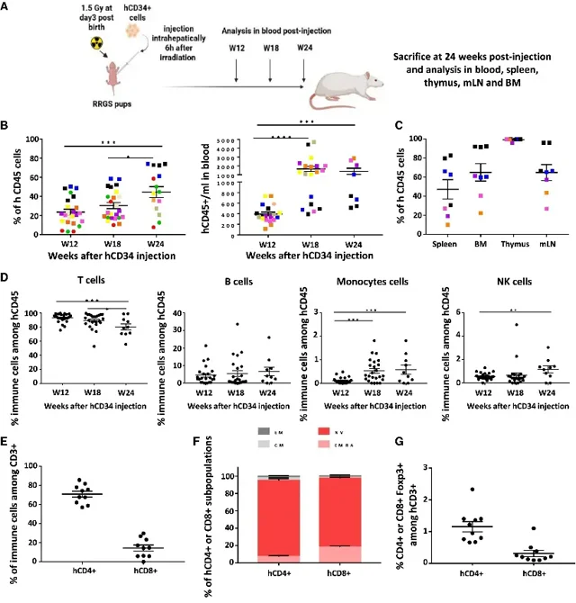 Immune humanization in peripheral blood.