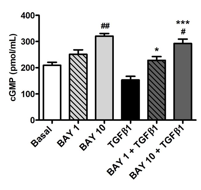 Intracellular levels of cGMP in human conjunctival fibroblasts.