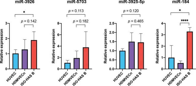 miR-3926, miR-5703, miR-3925-5p, and miR-184 were upregulated in angiosarcoma (AS) cell lines.