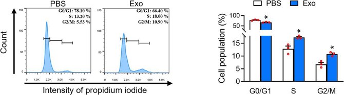 UC-MSC-Es promote the cell cycle in HHDPC.