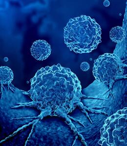 Human Hybridoma Cells