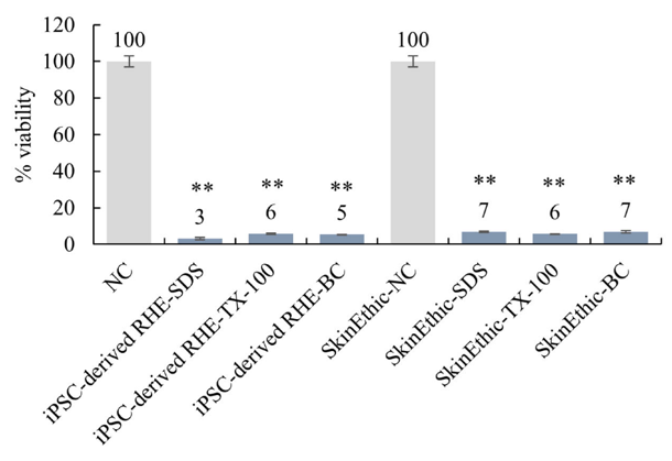 Skin irritation tests of iPSC-derived-RHE compared to commercially available SkinEthic systems.