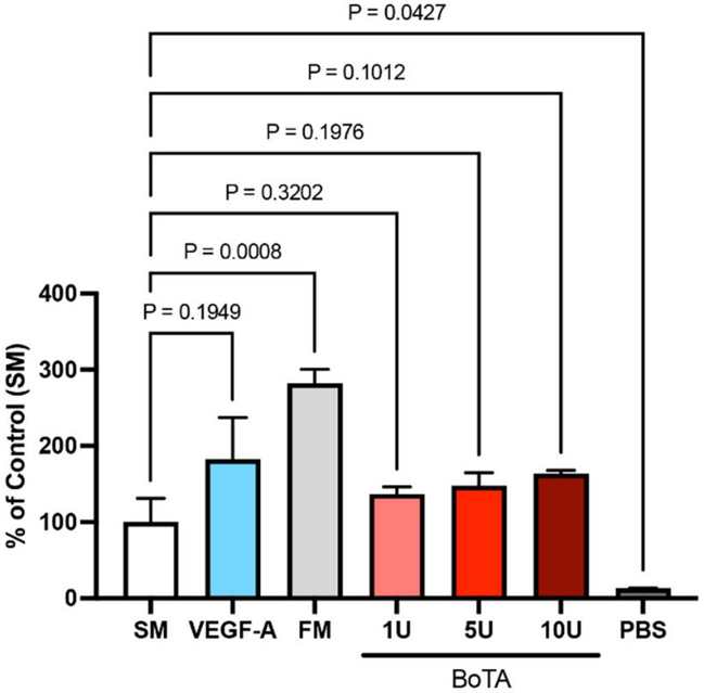 BoTA treatment did not alter LEC proliferation in vitro.