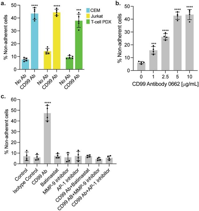 CD99 antibody disrupts leukemia-meningeal cell adhesion.