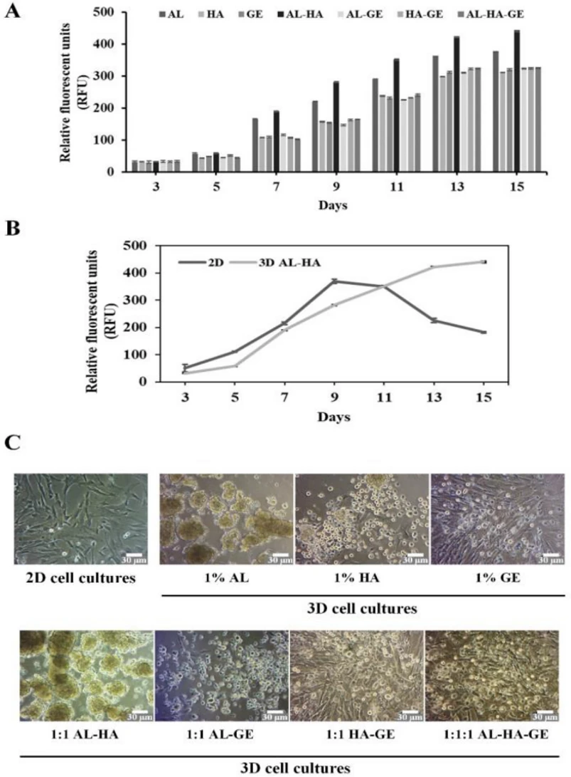 The cell proliferation and morphology of 3D hMSCs in biomaterial hydrogels.