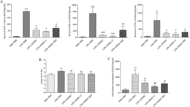 Lung inflammatory cytokines and total protein concentration in BALF and lung W/D weight ratio.