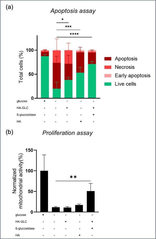 Annexin V/PI double-staining assay by flow cytometry analysis and cell proliferation assay (WST-1).