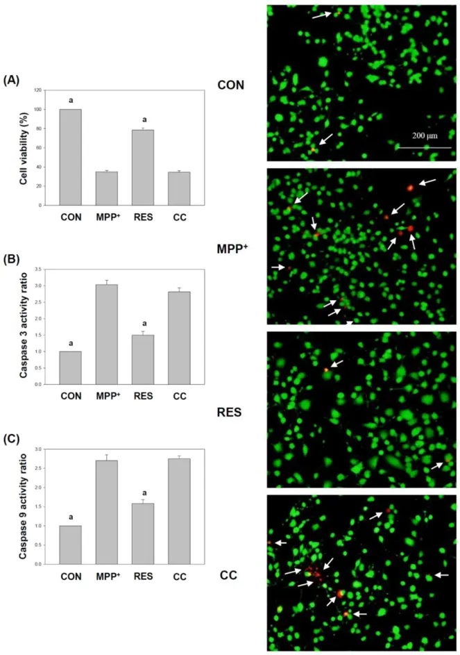 hNSCs-Exos alleviate MPP+-induced cell death, caspase activation, and toxicity (Chiang, Ming-Chang, et al., 2025).