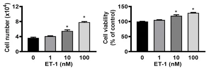 ET-1 stimulated visceral HWP proliferation.