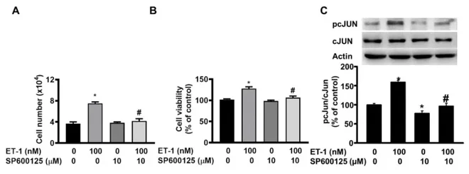 ET-1 stimulated visceral HWP growth through the JNK/c-JUN pathway but not the p38 MAPK pathway.