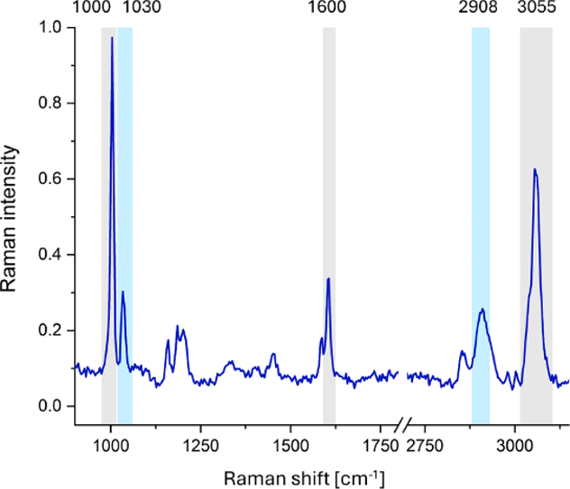 The Raman spectrum of PS MNPs used in the study.