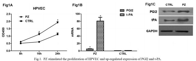 PZ stimulated the proliferation of HPVEC and up-regulated expression of PGI2 and t-PA.
