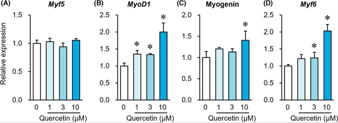 Effect of quercetin on mRNA expression levels of myogenic differentiation marker genes on Day 8.
