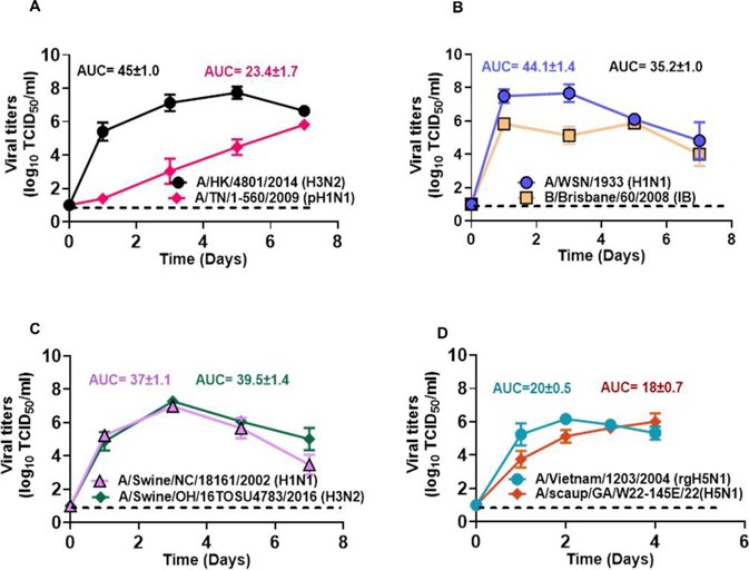 Influenza virus growth kinetics in HTECs. Well-differentiated HTECs were inoculated at a multiplicity of Infection (MOI) of 0.1 with the designated influenza viruses..