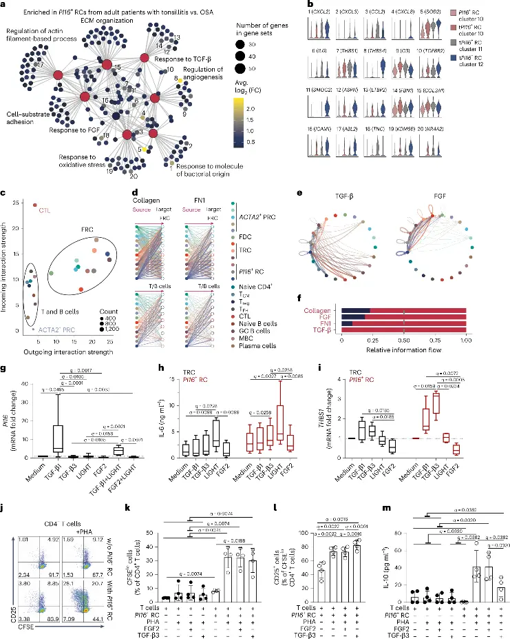 Interactome analysis of PI16+ RCs during homeostasis and inflammation.
