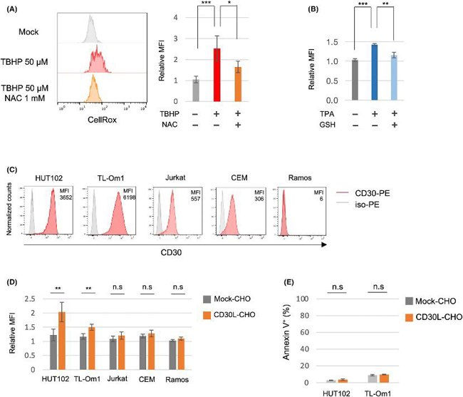 The effect of CD30 stimulation on intracellular reactive oxygen species (ROS) in adult T-cell leukemia/lymphoma (ATL) cell lines.