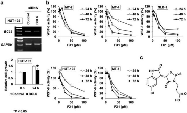Effects of BCL6 knockdown and pharmacological targeting of BCL6 on HTLV-1-infected T cells.