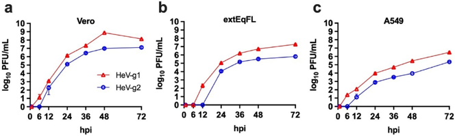 HeV-g1 and HeV-g2 growth kinetics in nonhuman primate, human, and equine cells.