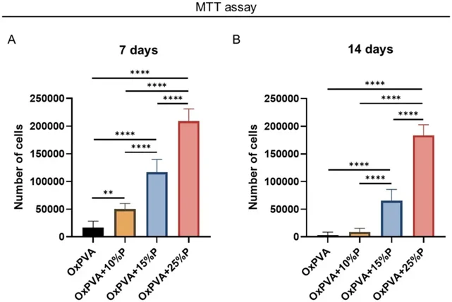 Human bone marrow mesenchymal stem cells (HM1-SV40) adhesion and proliferation on different OxPVA-based scaffolds prepared without porogen (OxPVA) or with different porogen (P) percentages (OxPVA + 10%P, OxPVA + 15%P, OxPVA + 25%P). Cells behavior was determined by MTT assay at 7 days (A) and 14 days (B) from seeding. (**P < 0.01; ****P < 0.0001).