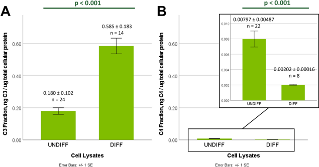 C3 and C4 from HCjE Cell Lysates HCjE were cultured under undifferentiating (UNDIFF, serum-free) and differentiating (DIFF, 10% heat-inactivated serum) conditions (see Methods) and used to prepare HCjE cell lysates for analysis of C3 and C4 fractions, defined to be total [C3 or C4] per ug of total cellular protein