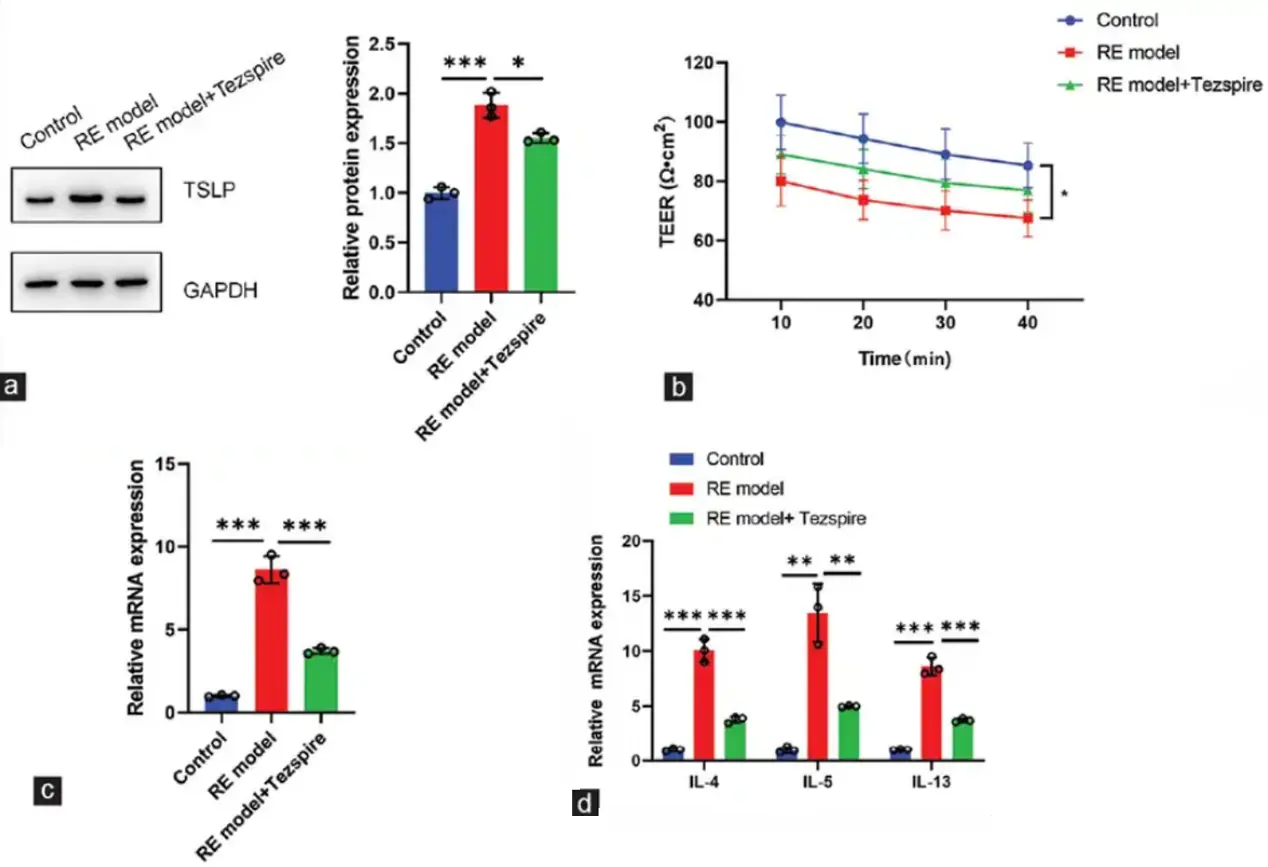 Effect of thymic stromal lymphopoietin on inflammatory cytokines secreted by HET-1A cells (Chen, Ruidong, et al., 2025).