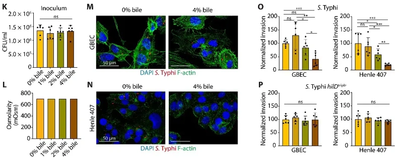 PltC-TyT promotes S. Typhi pathogenicity.