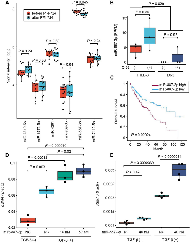 Expression levels of selected miRNAs in the liver and analysis of the function of miR-887-3p.