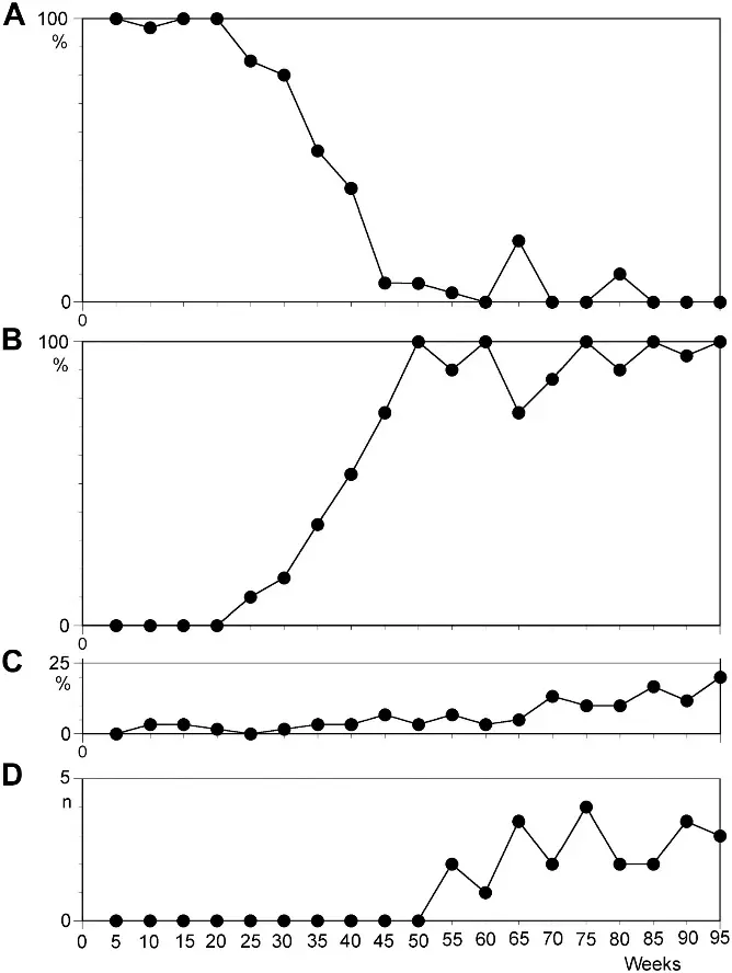 Temporal course of the median value of characteristics scored from 30 metaphase spreads per 10 lymphoblastoid cell lines as a function of culture time in weeks.