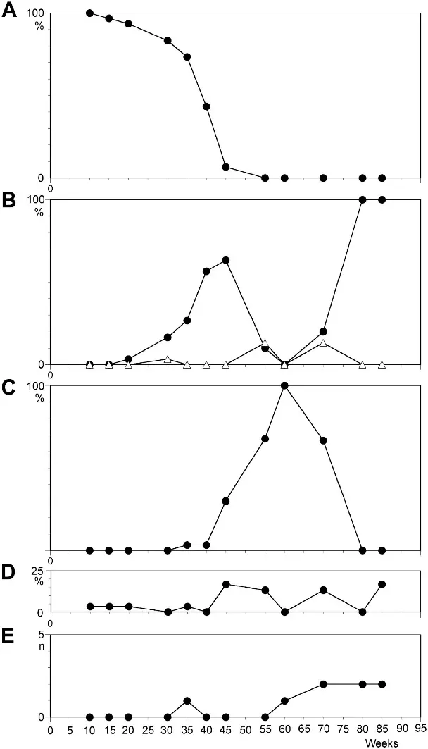 Temporal course of characteristics in cell line N2 scored from 30 metaphases.