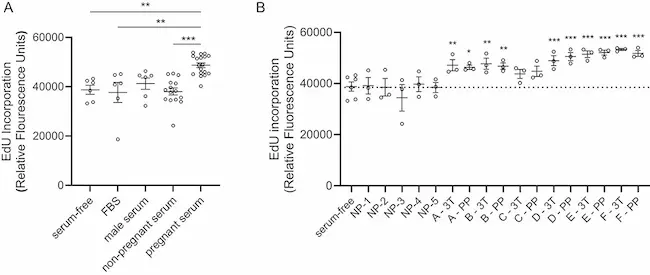 Pregnant human serum increases proliferation in EndoC-βH1 beta cells.
