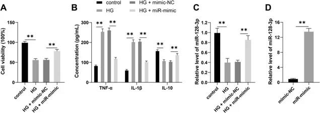 Overexpression of miR-128-3p alleviates HG-induced DR inflammatory injury.