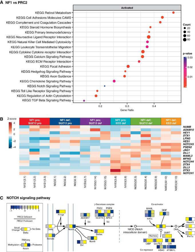 PRC2 regulates Notch pathway genes in iHSCs.