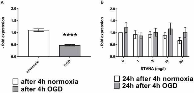 Quantitative Real-Time Polymerase Chain Reaction (qRT-PCR)analysis of claudin-5 mRNA expression after OGD (A) and subsequent STVNA treatment for 24 h (B).
