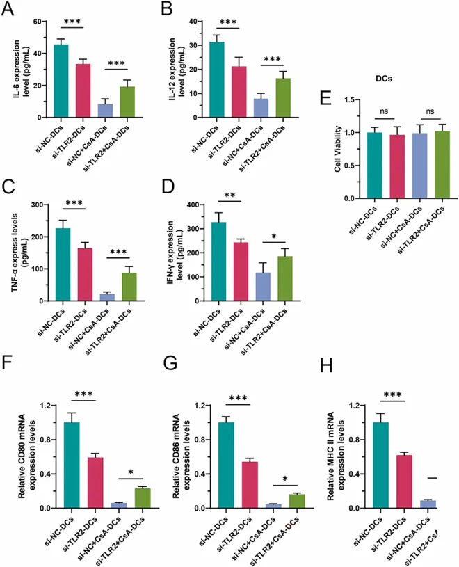 TLR2 knockdown attenuates CsA-mediated suppression of DC maturation.