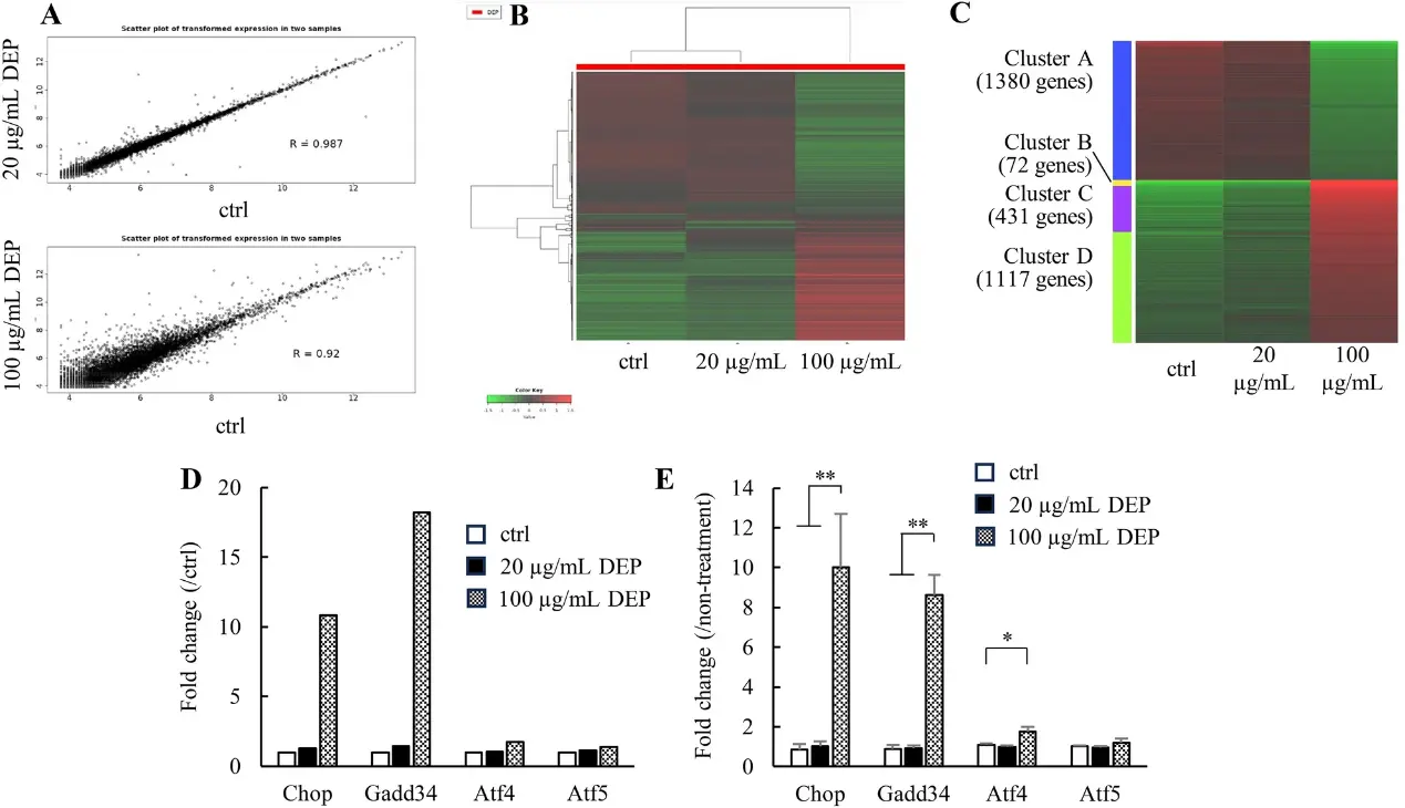 The effect of DEP on LEC transcriptome.