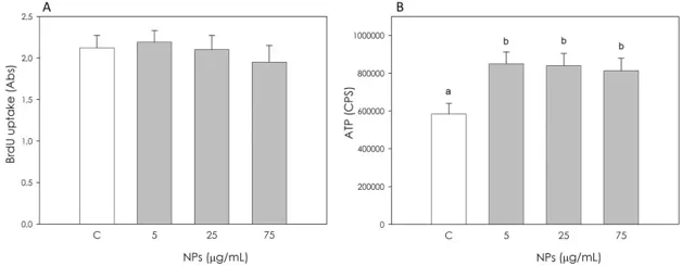Effect of the treatment with nanoplastics (NPs 5, 25 and 75 µg/mL) for 48 h on swine aortic endothelial cells (AOC) proliferation using 5-bromo-2'-deoxyuridine (BrdU) incorporation assay test (A) and metabolic activity using ATP content assay test (B).