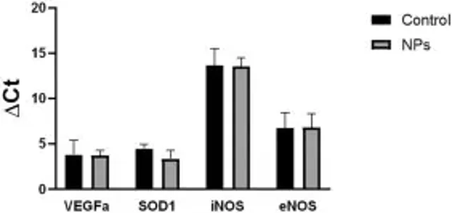 This figure shows the ΔCt values of gene expression of VEGF, SOD, iNOS, and eNOS in AOC treated with 75 µg/mL of NPs (NPs) compared to AOC cultured in standard conditions (Control)