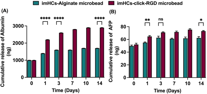 Albumin and AFP release from imHCs encapsulated in alginate and click-RGD microbeads.