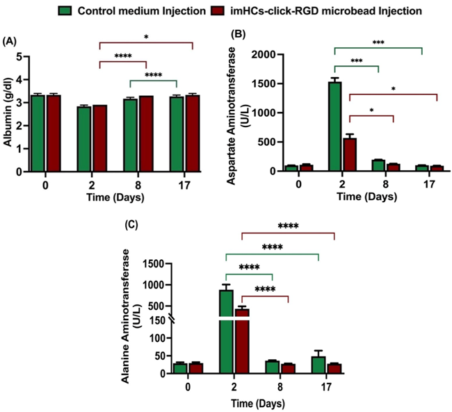 Evaluation of hepatic biomarkers after injection with CMRL medium and imHCs encapsulated click-RGD microbeads.