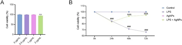 Low-dose AgNPs exhibit minimal cytotoxicity and improve MDPC-23 cell viability under LPS stimulation.