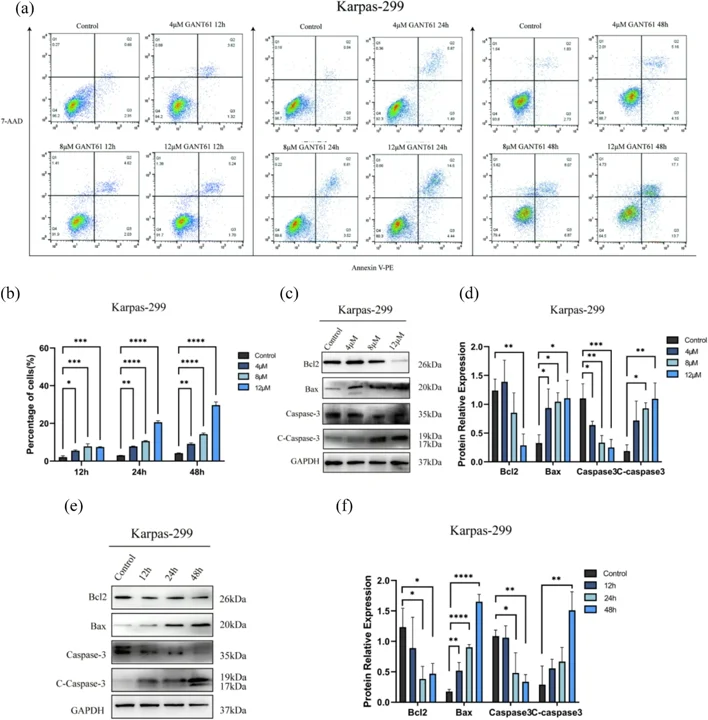 The effect of GANT61 on apoptosis in ALK + ALCL cell line Karpas-299.