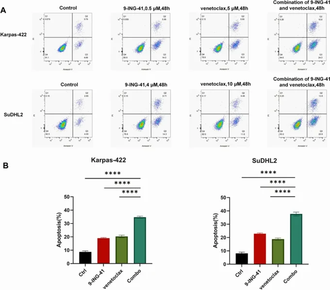 Effects of 9-ING-41, venetoclax, and their combination on the apoptosis in DHL cells.