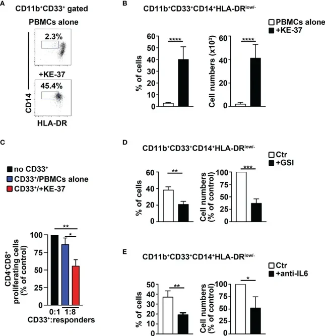 The Notch1-active T-ALL cell line, KE-37 induces MDSCs from healthy PBMCs.