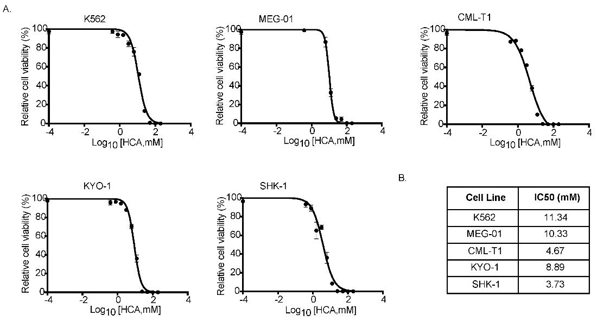 HCA inhibits CAL cell lines’ (K562, MEG-01, CML-T1, KYO-1, and SHK-1) growth in vitro.