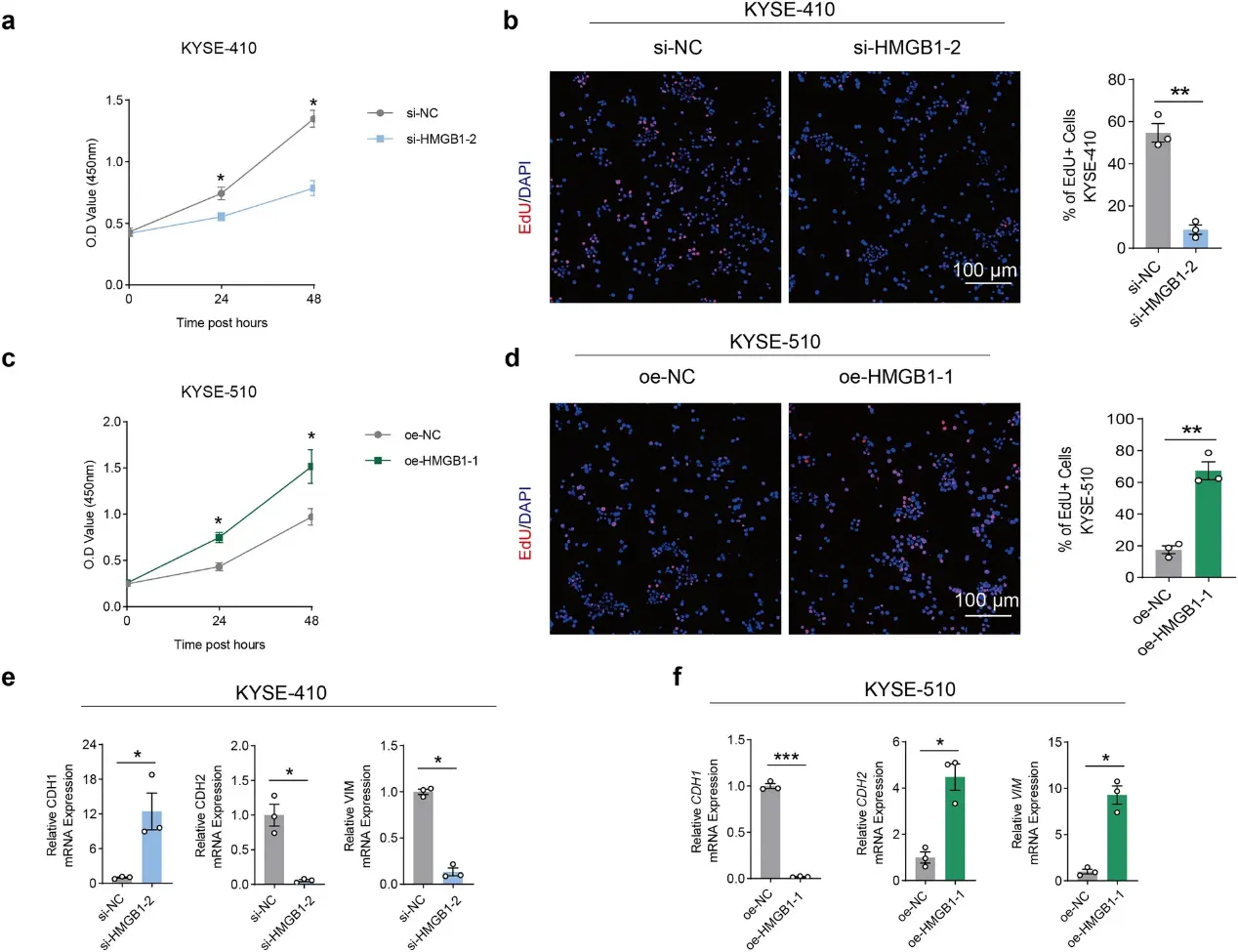The effects of HMGB1 on the proliferation and metastasis of ESCC cells.