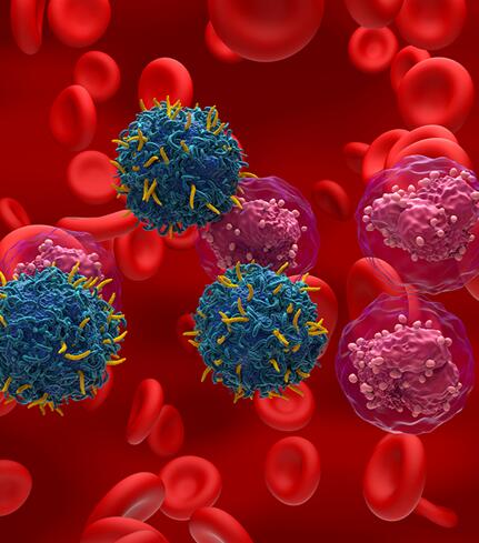 Leukemia Lymphoma Myeloma Cells