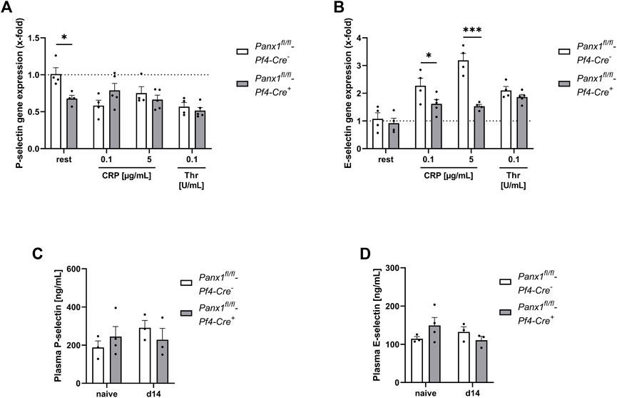 Platelet Panx1 modulates adhesion molecule gene expression in endothelial cells in vitro.