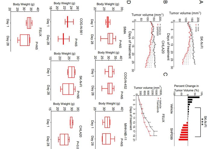 SHP099 is effective in vivo and trametinib is ineffective in vivo.