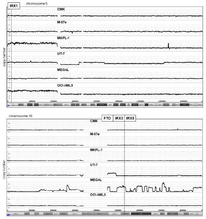 Genomic analysis of AML cell lines.
