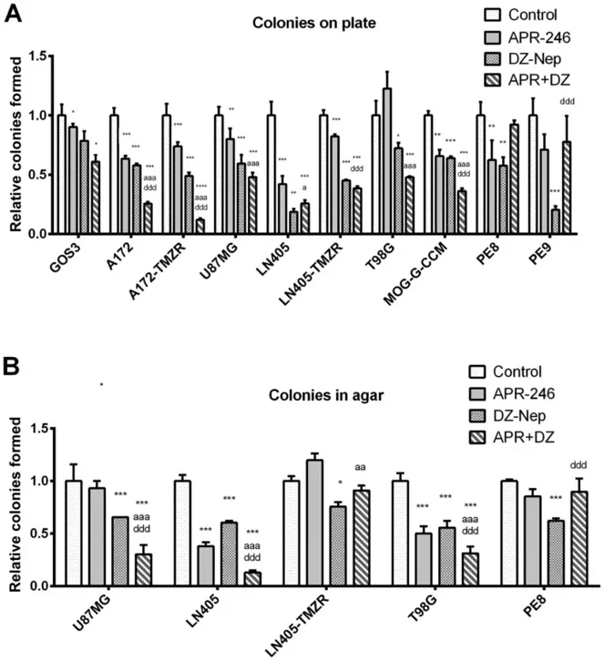 Colony formation capacity in (A) adherent conditions or (B) in soft agar after APR-246, DZ-Nep, or combined treatment (APR+DZ).